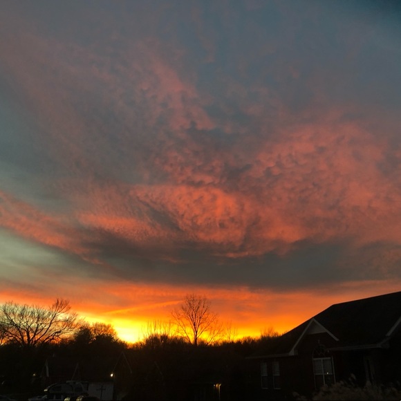 Meet your Posher, Saige - Picture 1 of 1